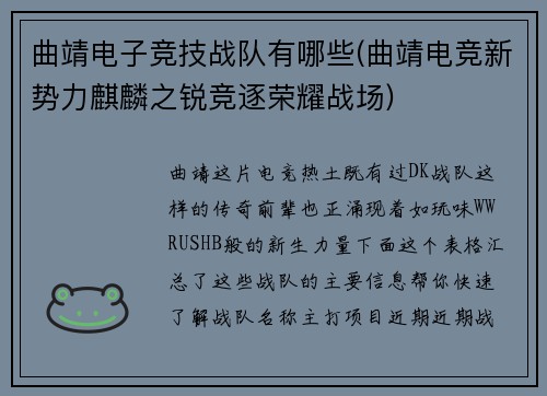 曲靖电子竞技战队有哪些(曲靖电竞新势力麒麟之锐竞逐荣耀战场)